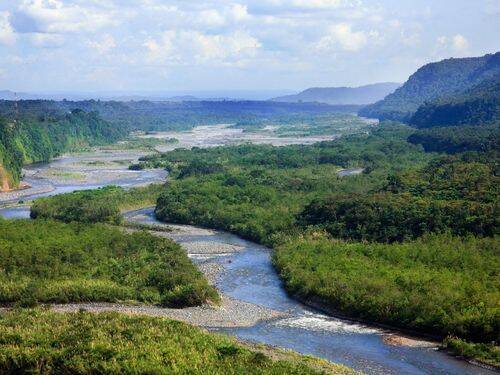 Dlaczego Amazonia ma znaczenie dla świata